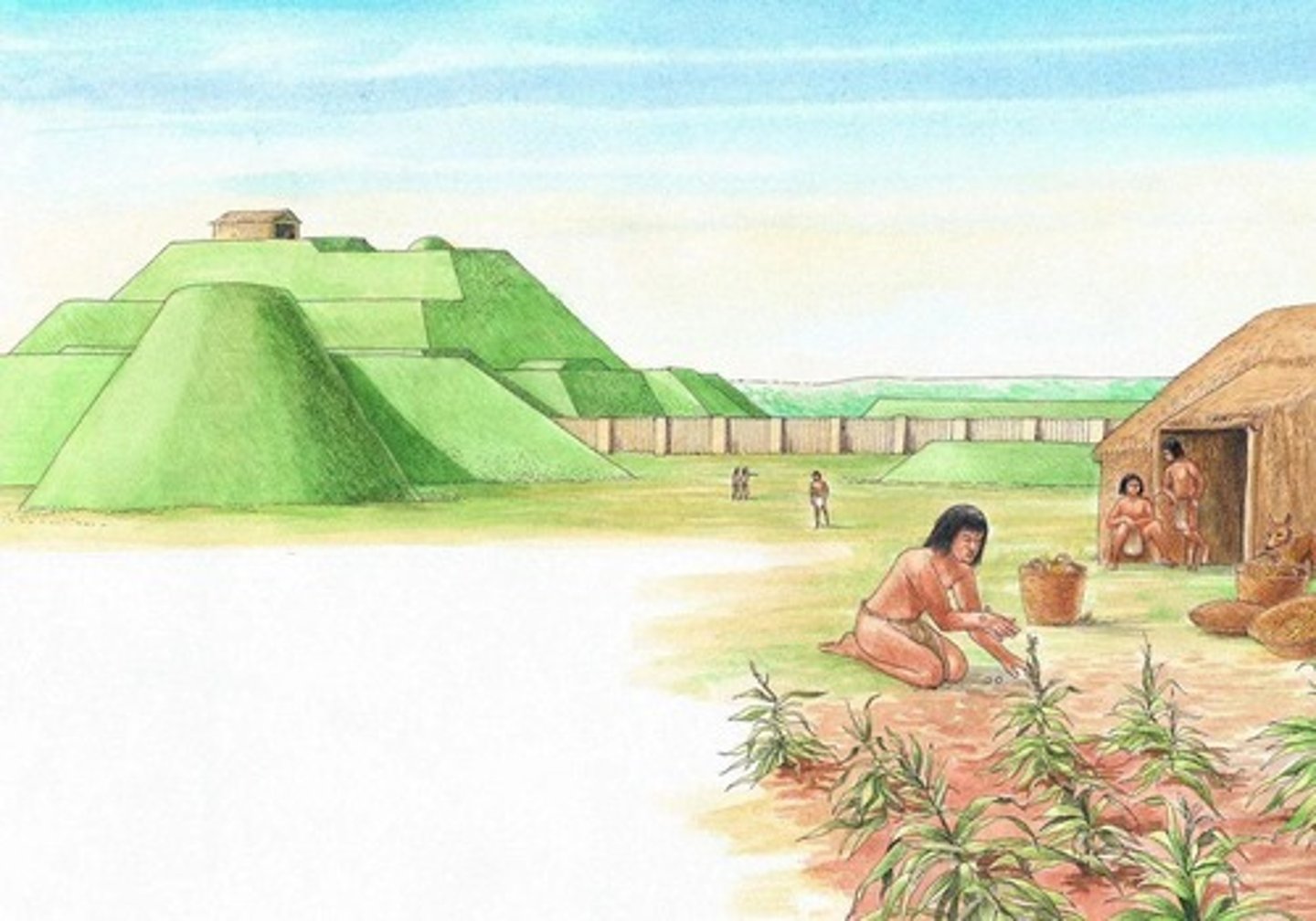 <p>The 'Mound Builders' were Native American groups from pre-Columbian era (3500 BCE to the 16 century CE) who built thousands of earthen mounds for various purposes.</p>