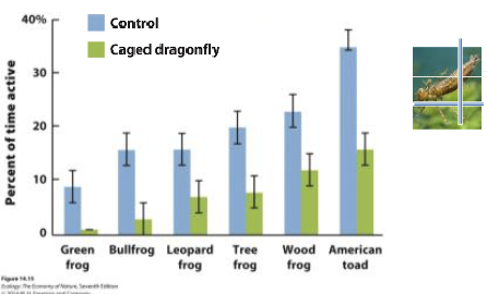 <p>Explain this graph.</p>