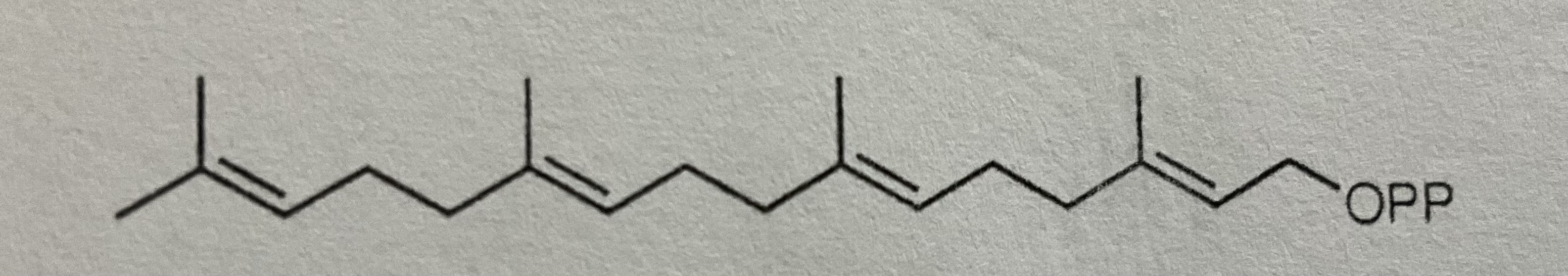 <p>Geranylgeranyl-PP</p>