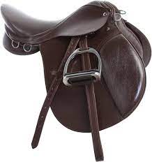 <p>Which saddle is pictured?</p>