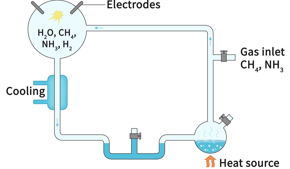 <ul><li><p><strong>Sealed Glass Apparatus with Gases:</strong></p><ul><li><p><strong>Reasoning:</strong> Represents the Earth's primitive atmosphere, consisting of methane (CH4), ammonia (NH3), hydrogen (H2), and water vapor (H2O).</p><p></p></li></ul></li><li><p><strong>Electric Discharge Apparatus:</strong></p><ul><li><p><strong>Reasoning:</strong> Simulates lightning strikes, providing the energy needed to drive chemical reactions in the atmosphere, similar to the conditions on the early Earth.</p><p></p></li></ul></li><li><p><strong>Condenser:</strong><br><span>The condensed water droplets formed on the side of the apparatus and collected at the bottom, representing the primordial soup of the early oceans.</span></p></li></ul><p></p><ul><li><p><strong>Allowed to Run for a Week:</strong></p><ul><li><p><strong>Reasoning:</strong> Provides sufficient time for the simulated processes to occur, allowing the accumulation of organic compounds.</p></li></ul></li></ul>