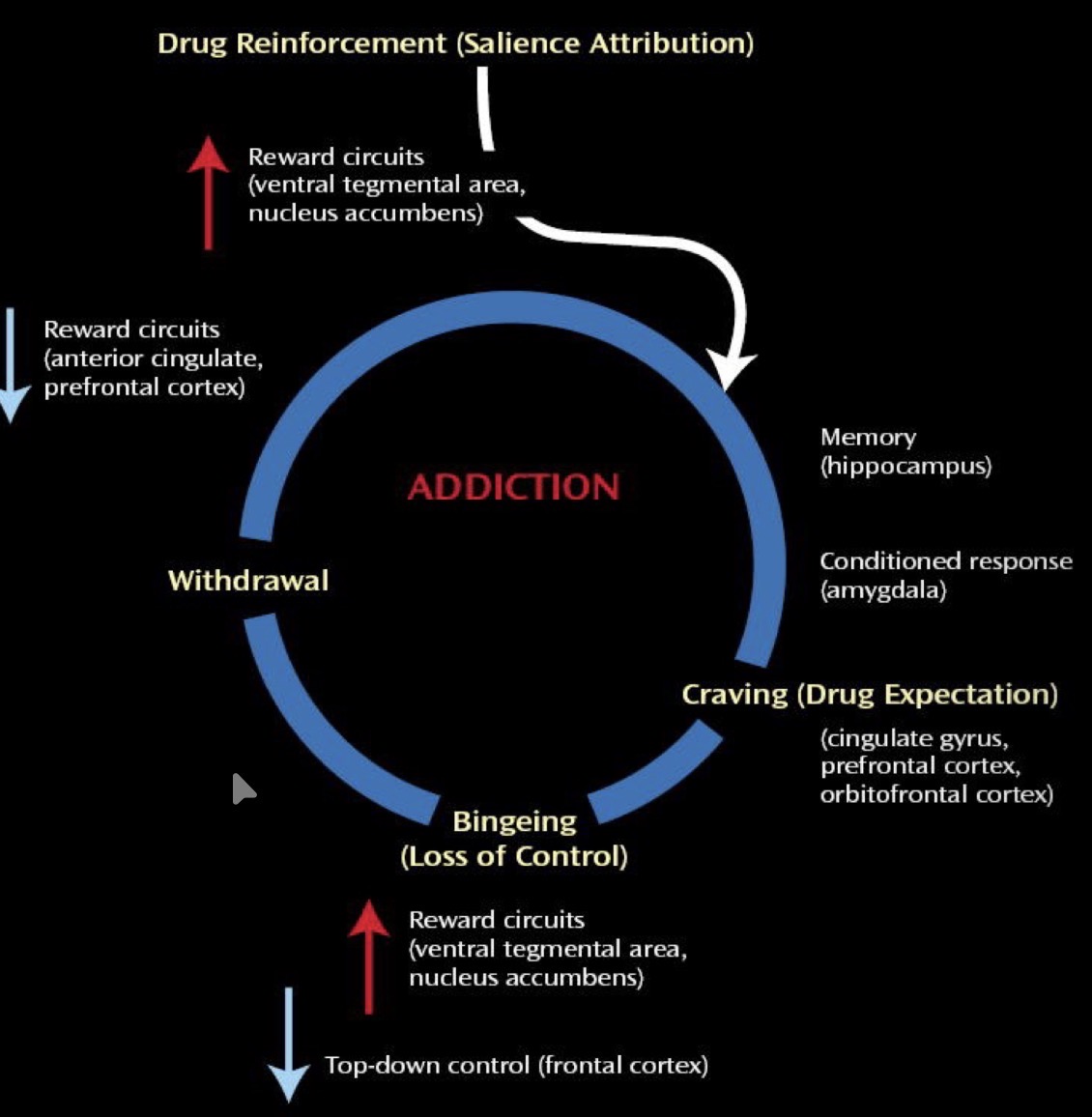 knowt flashcard image