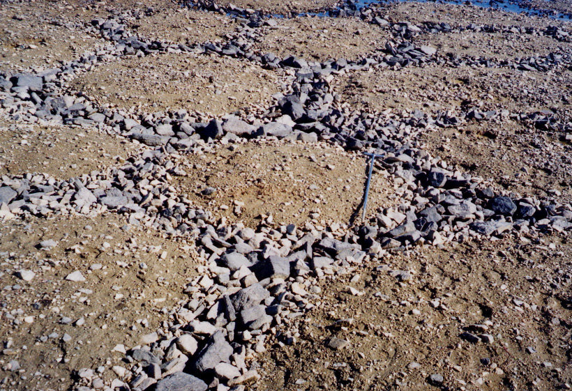 * The stones that reach the surface as a result of frost heave move radially down each domed surface to form a network of stone polygons 
  * Typically ==1-2m== in diameter 