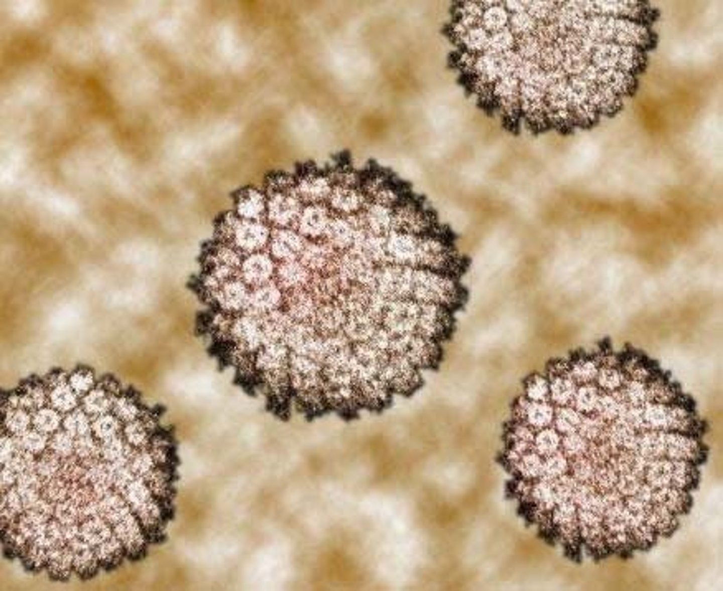 <p>uncontrolled cell growth and division</p>