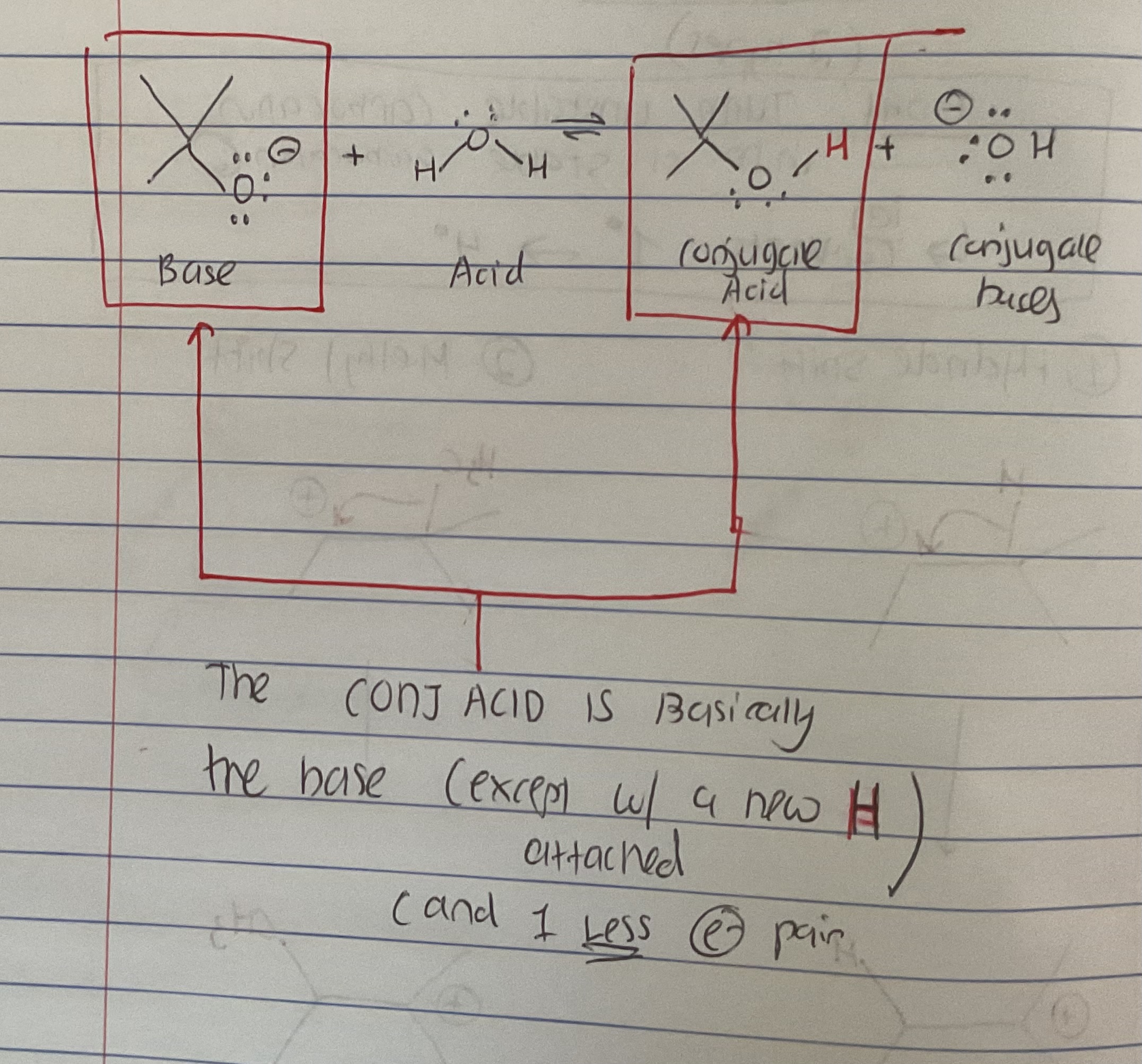 <p>Its basically the base (of an acid-base rxn) just with 1 new H and 1 LESS e- pair</p><p></p><p></p>