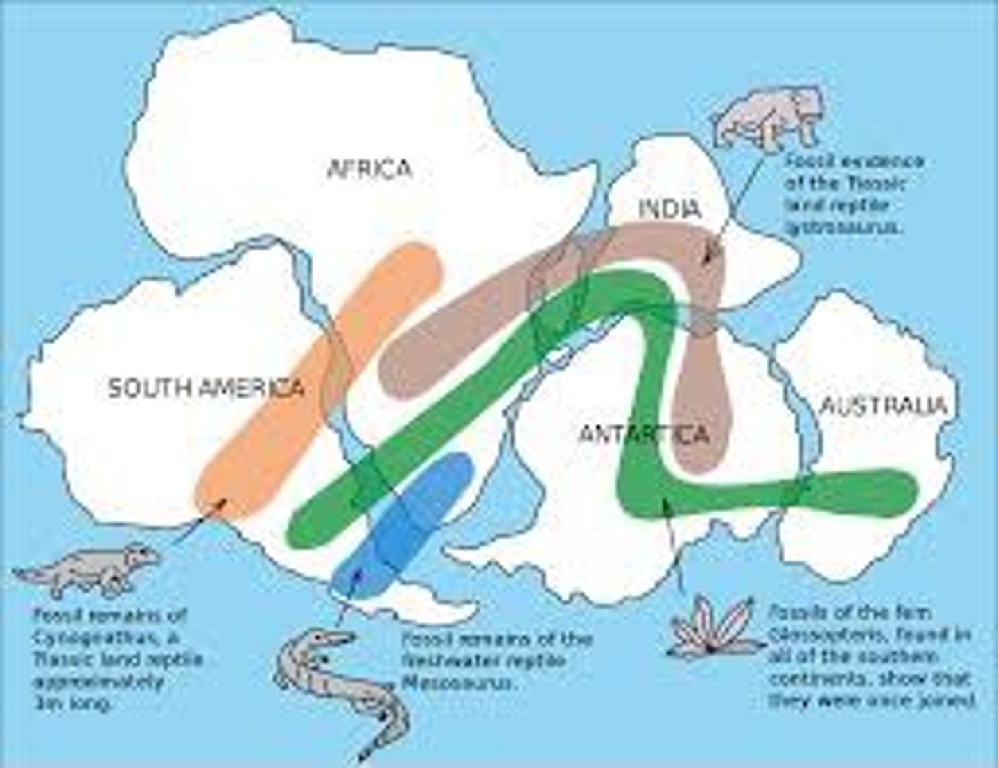 <p>Fossils, climate, rocks, glacial deposits</p>