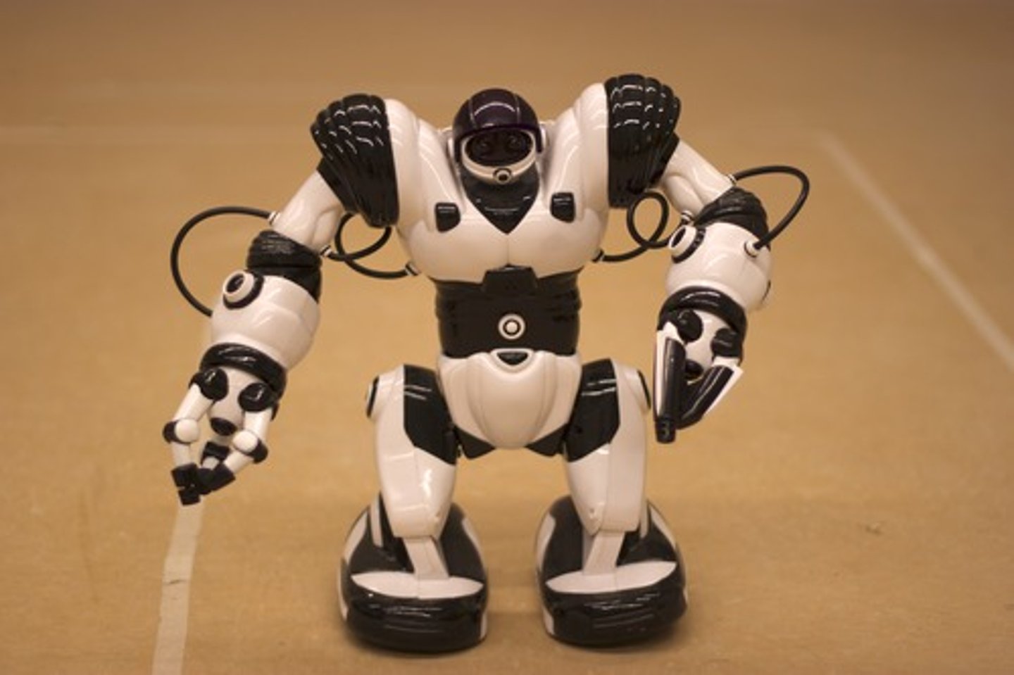 <p>(v): tự động hóa</p>