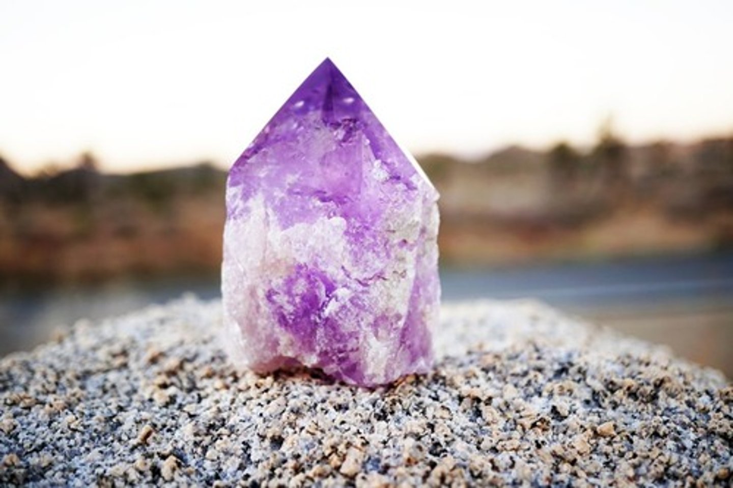 <p>This is the practice of external alchemy, which is designed to attain immortality through the introduction of foreign substances, including herbs, minerals, elixirs, talismans, etc.</p>