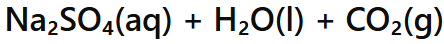 <p>Salt + Water + Carbon Dioxide</p>