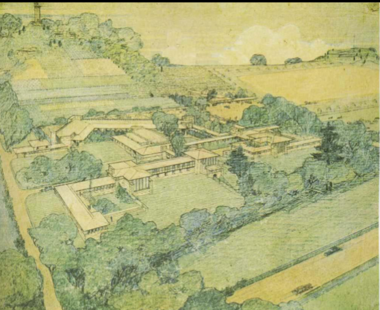 term image
