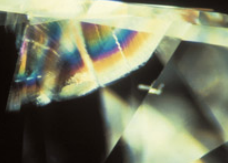 <p>What inclusion is this?</p>