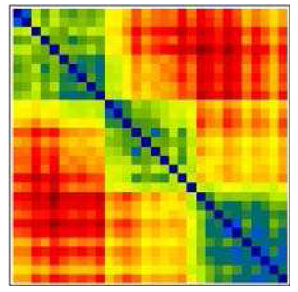 <p>A matrix where values do not increase as one moves away from the main diagonal, revealing clustered structure.</p>