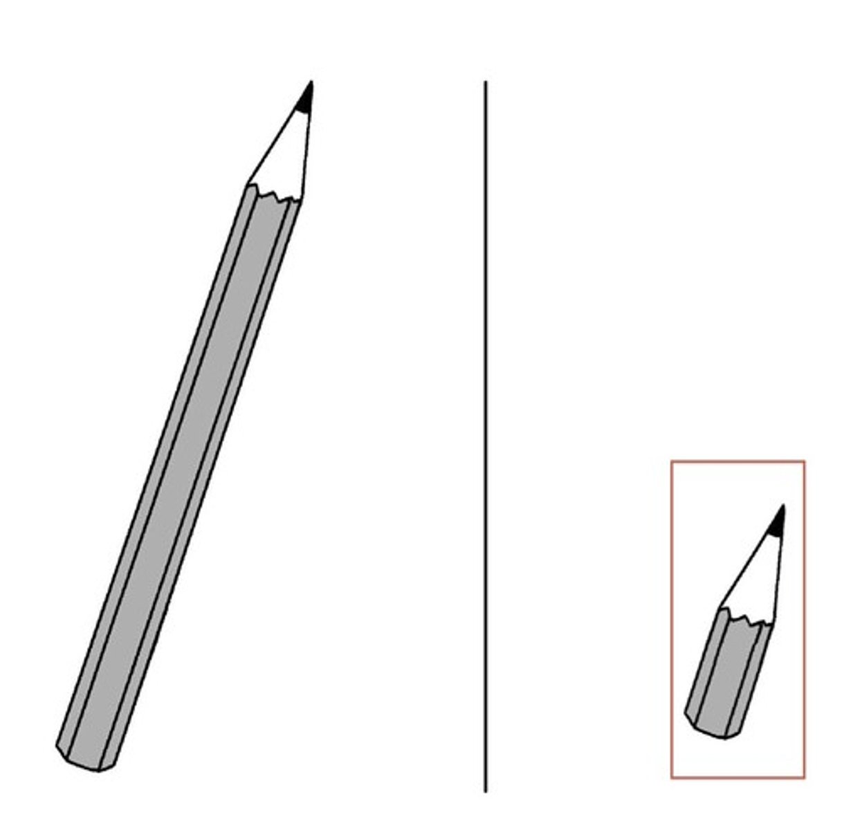 <p>short (length)</p>