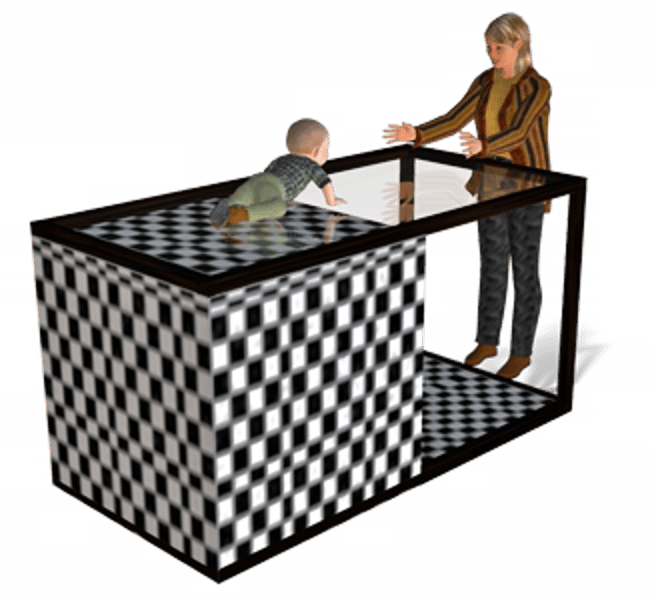 <p>a laboratory device for testing depth perception in infants and young animals. (Myers Psychology for AP 2e p. 184) Indicates some depth perception is innate.</p>