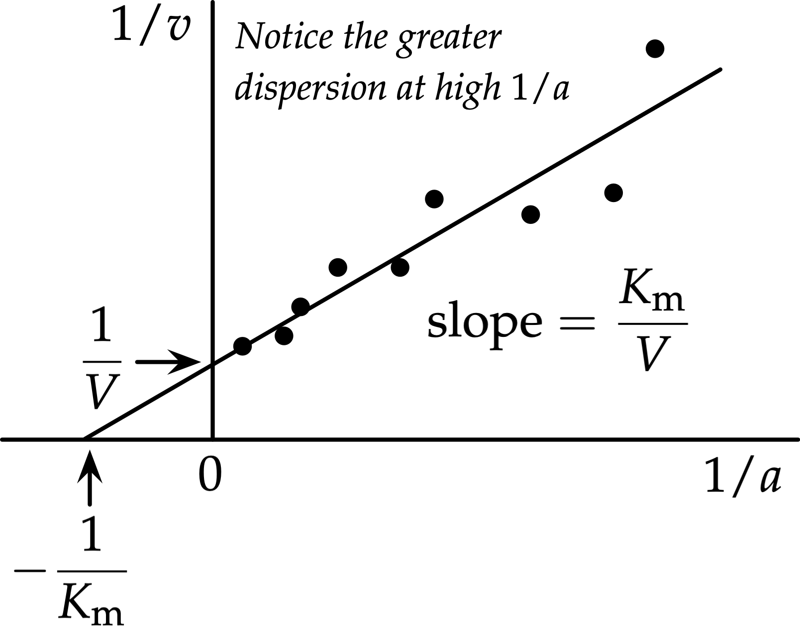 <p>a straight line</p>