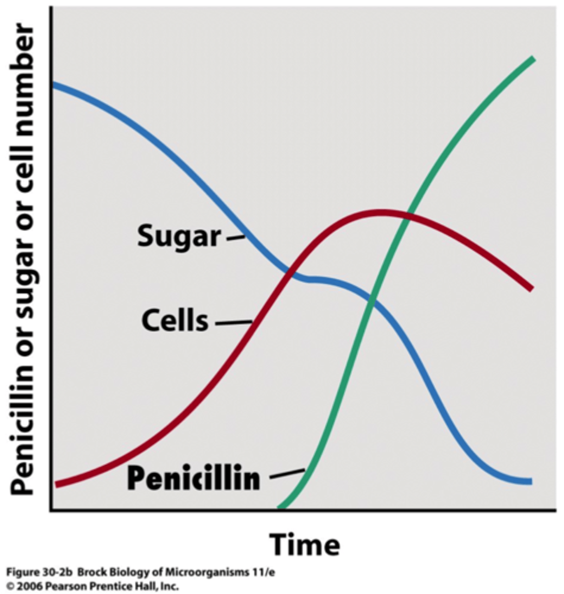 <p>produced near the end of growth phase or in the stationary phase; not essential for growth and reproduction<br>-formation highly depends on growth conditions<br>-often produced as a group of related compounds<br>-often significantly overproduced<br>-often produced by spore-forming microbes during sporulation</p>