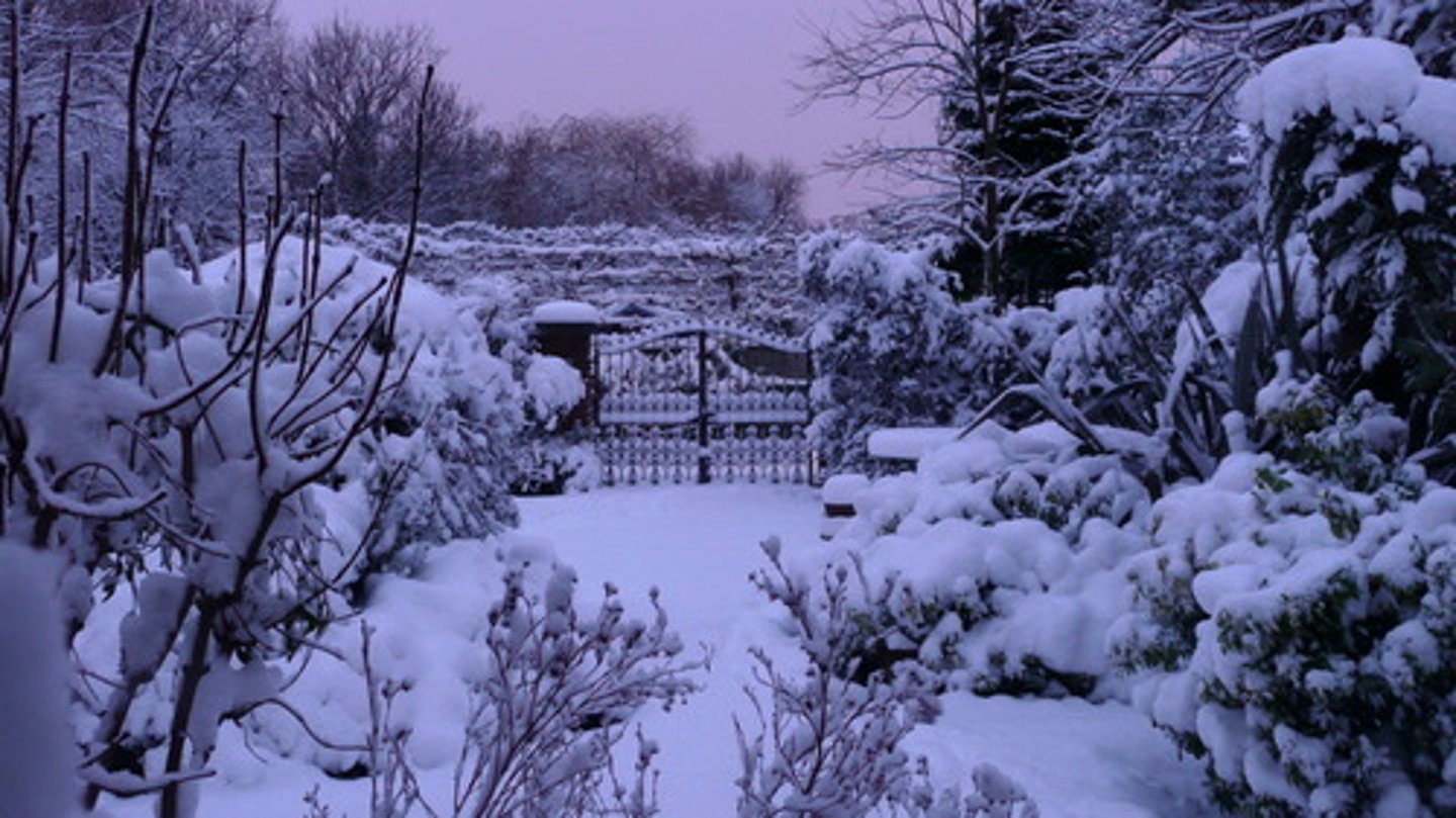 <p>it's snowing</p>