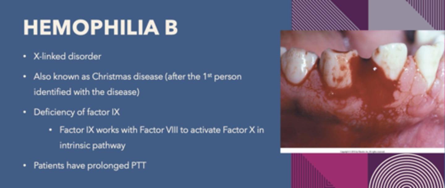 <p>Hemophilia B</p>