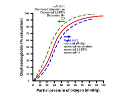 <p>O2 dissociation curve</p>