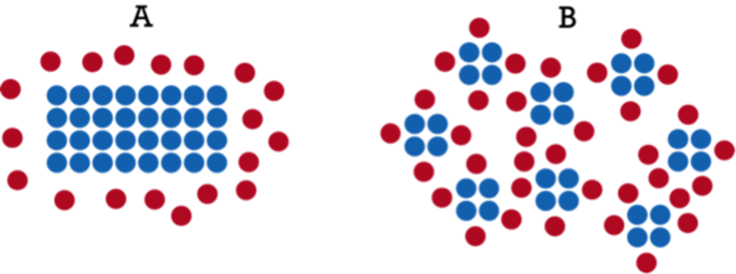 <p>increase rate because the number of exposed/available (solid) reactant molecules increases so the frequency of collisions increases, so the chance of successful collisions increases.</p>