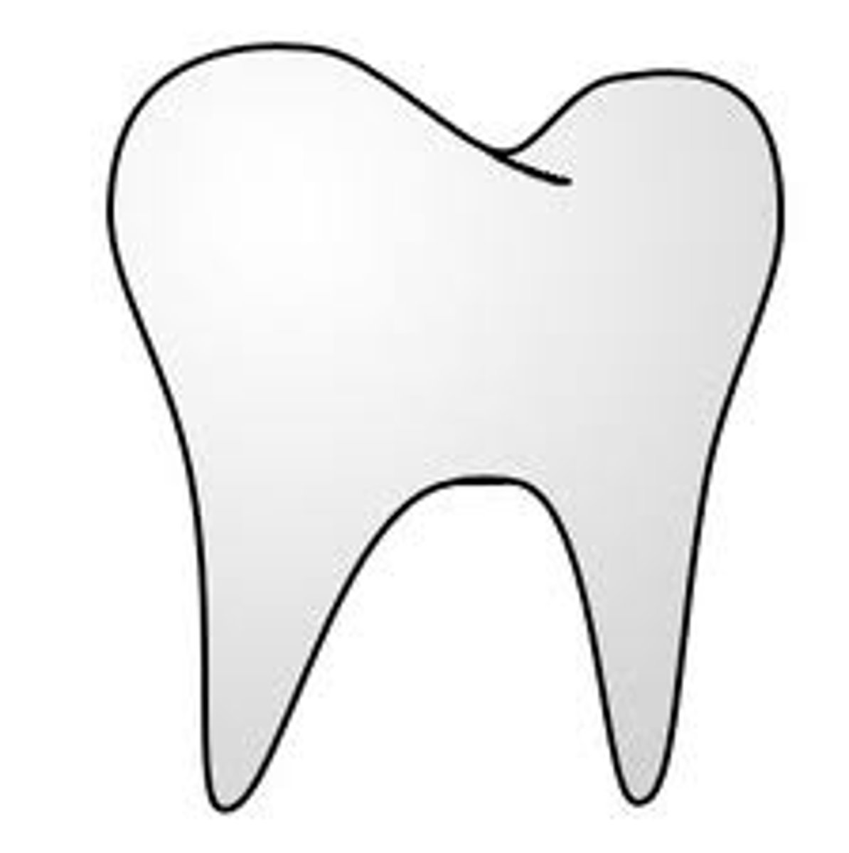 <p>tooth</p>