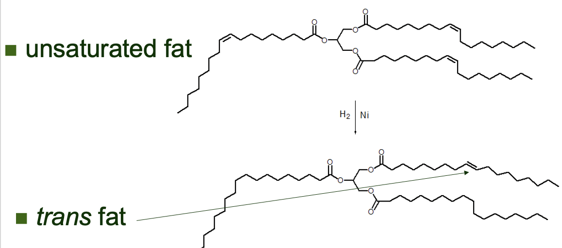 * present in high concentration in **fish oils**
* can reduce risk to atherosclerosis and heart disease
  * w-3 fatty acids **inhibit platelet function** which contributes to ==blood clots that can cause heart attacks==
  * e.g. %%linolenic acid%%

_

studies of increased incidence of atherosclerosis and coronary heart disease associated w diets high in **sat fats and trans fats**