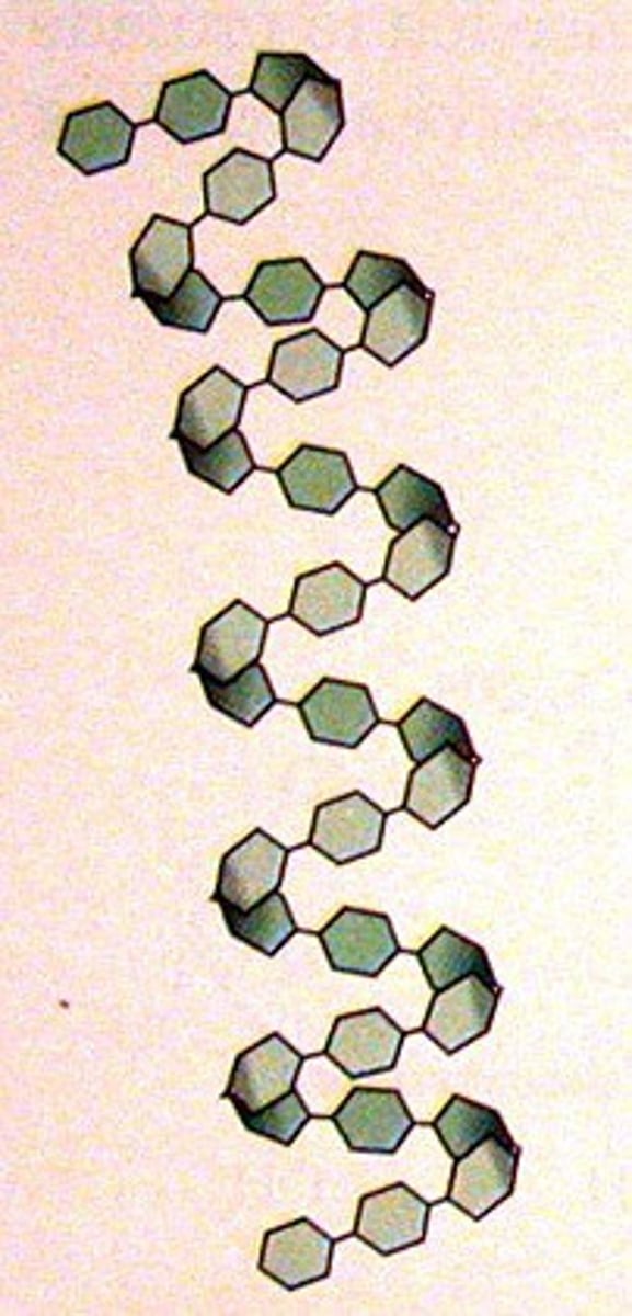 <p>It has a coiled structure due to the angles of glycosidic bonds. It creates a cylindrical shape due to the coils and it allows large quantities to fit into small spaces</p>