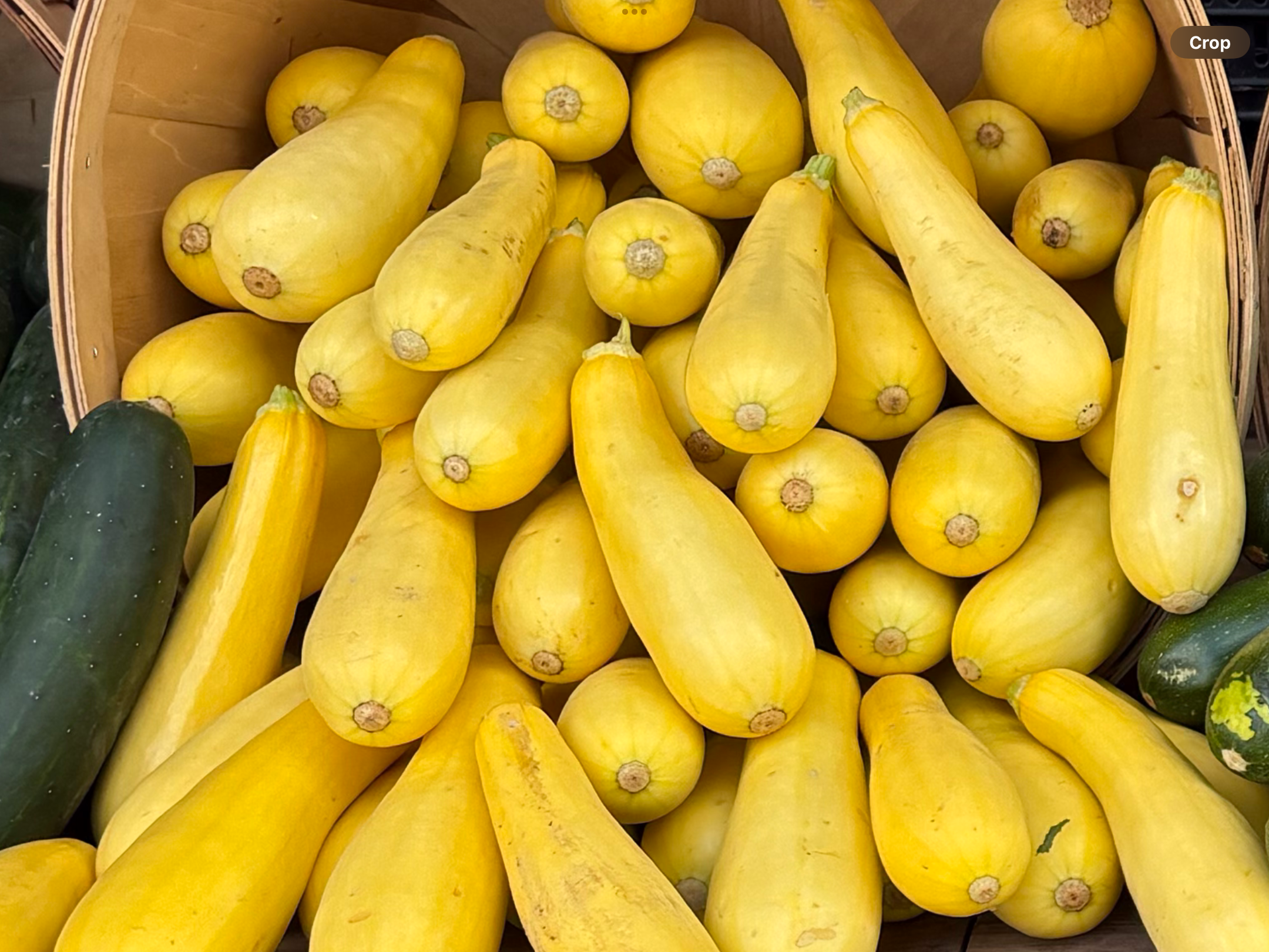 <p>Summer squash</p>