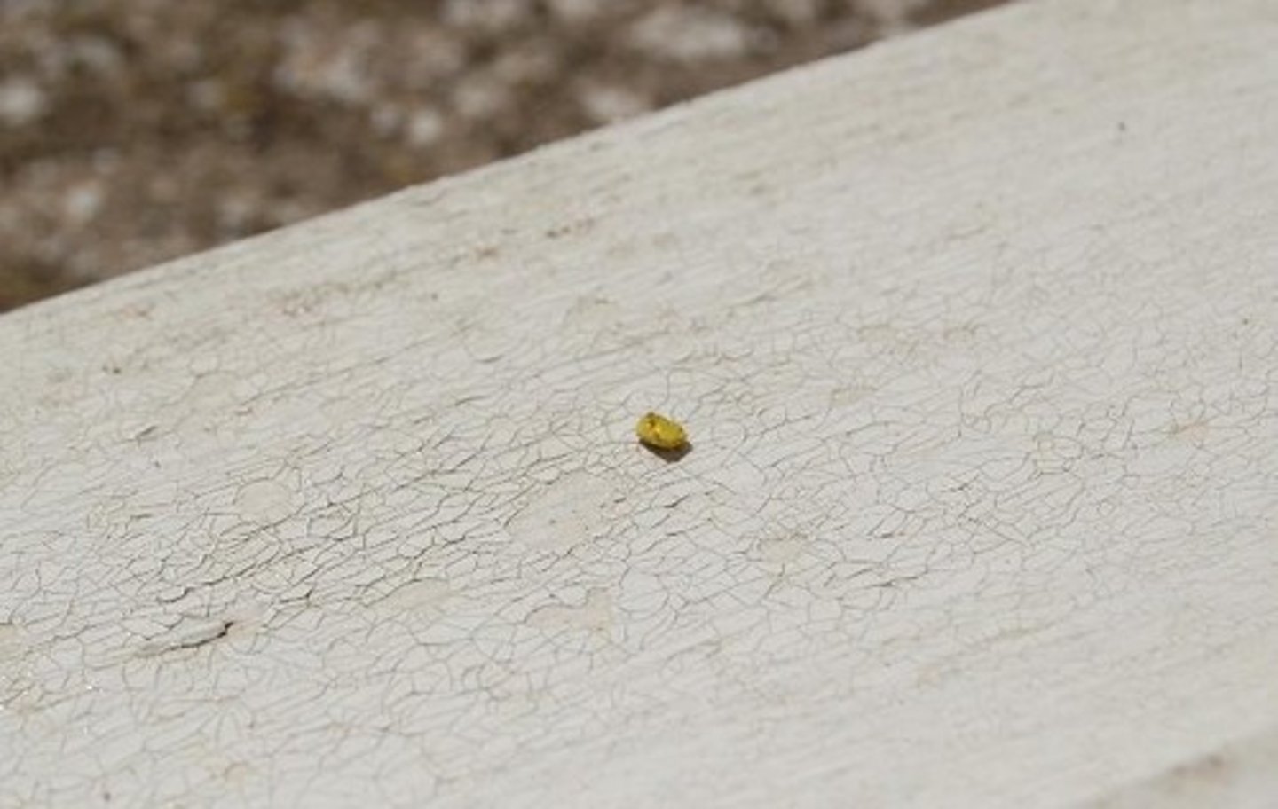 <p>The disintegration or physical breakup of rocks without changing their chemical composition.</p>