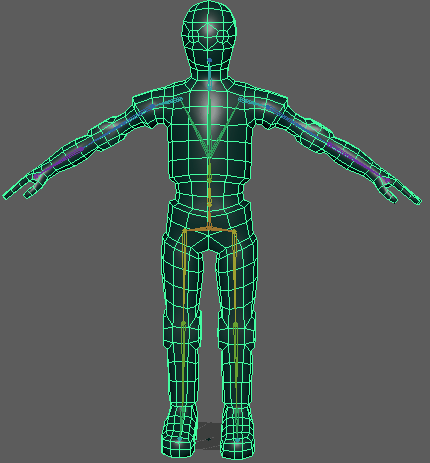 <p>What do you need to do next after rigging the skeletal rig?</p>