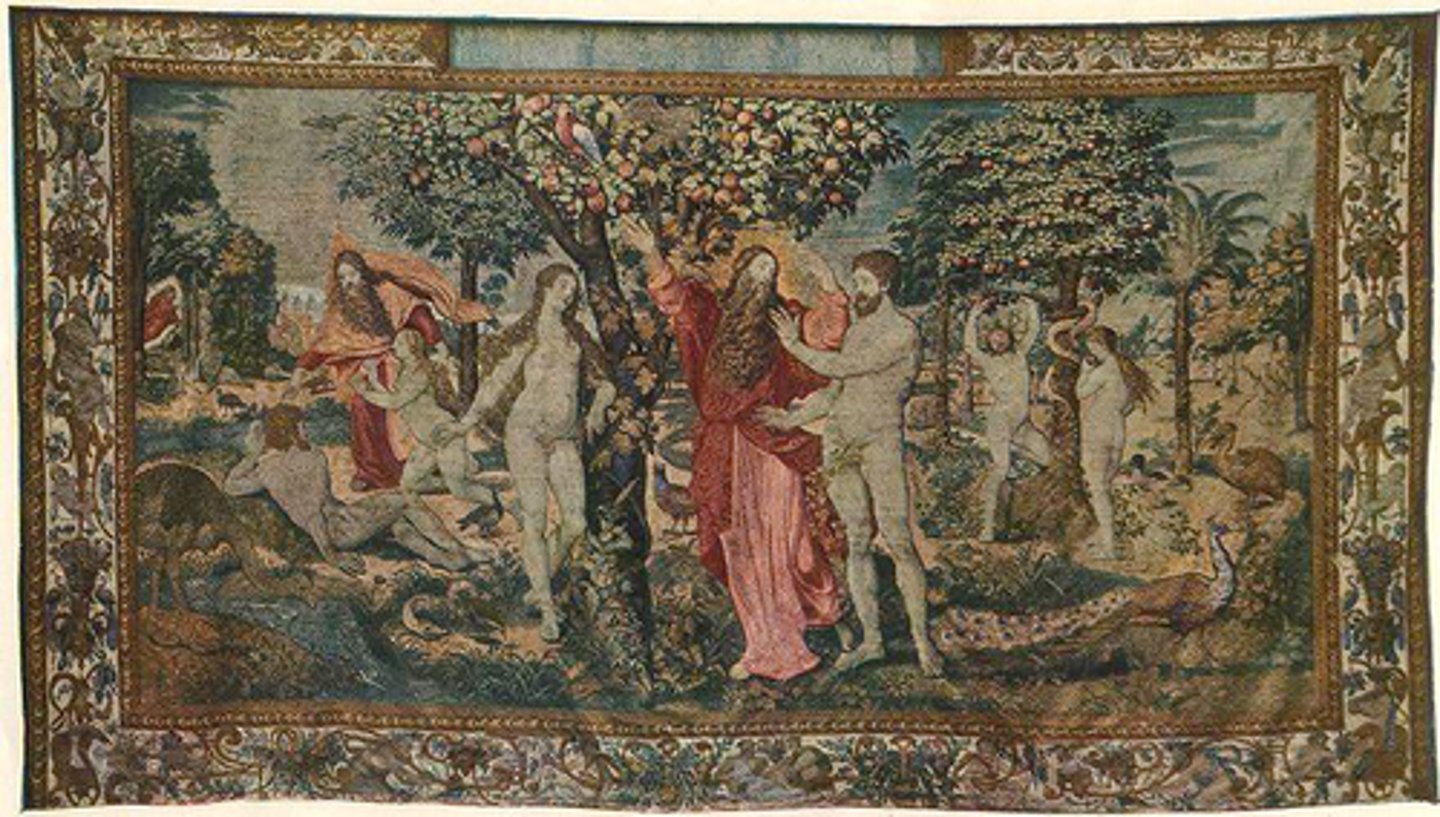 <p>n. curtain or wall hanging</p>