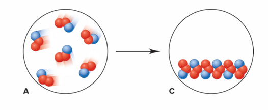 <p>Is this an example of a chemical change or a physical change?</p>