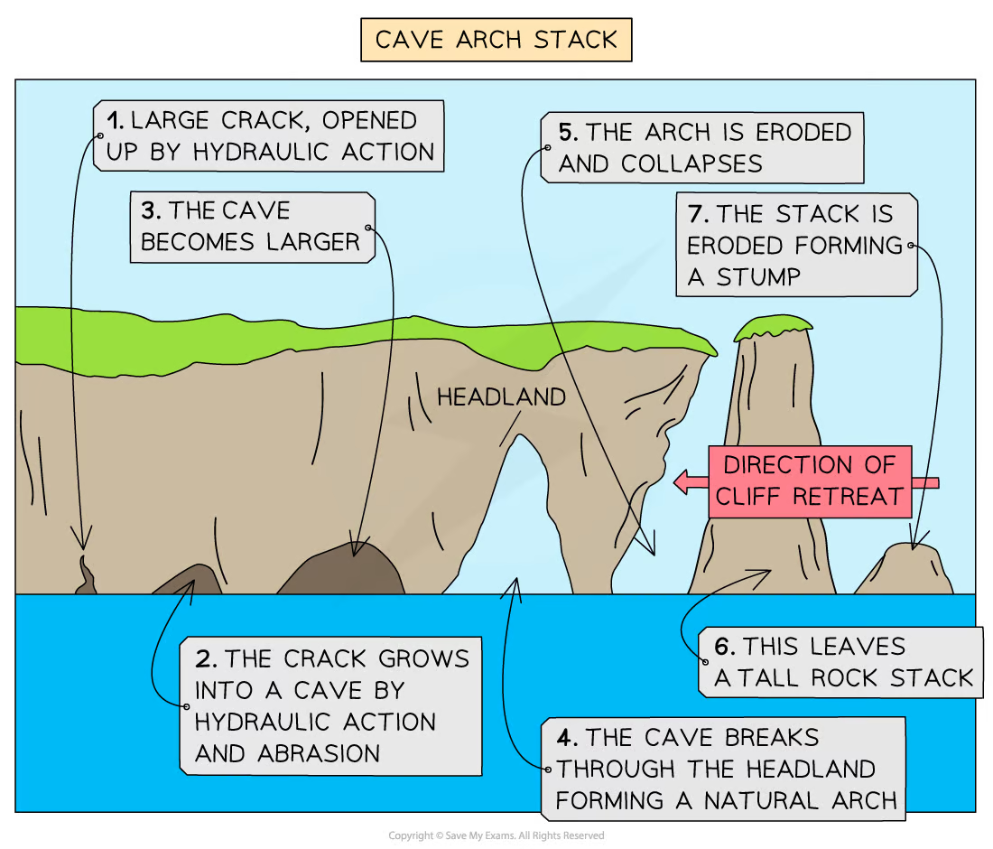 <ul><li><p>Found on headland due to wave action + sub-aerial weathering</p></li><li><p>Weaknesses in headland are exploited by erosional processes of hydraulic action, abrasion, corrosion</p></li><li><p>As <strong>crack</strong> widens, abrasion wears away at the forming <strong>cave</strong></p></li><li><p>Cave becomes larger and eventually breaks through headland to form <strong>arch</strong></p></li><li><p>Base of arch continually becomes wider + thinner through erosion below + weathering above</p></li><li><p>Eventually, roof of arch collapses, leaving isolated column of rock called <strong>stack</strong></p></li><li><p>Stack is <strong>undercut </strong>at base by wave action + sub-aerial weathering above until it collapses to form <strong>stump</strong></p></li></ul>