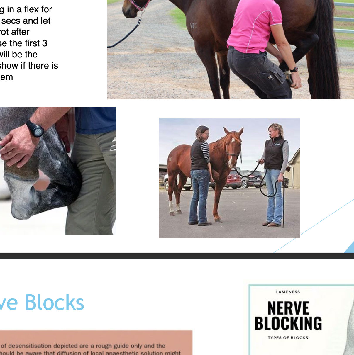 <p>holding leg in a flex for like 30 secs and let them trot after bc first 3 steps will be worst/show if there’s a prob</p>