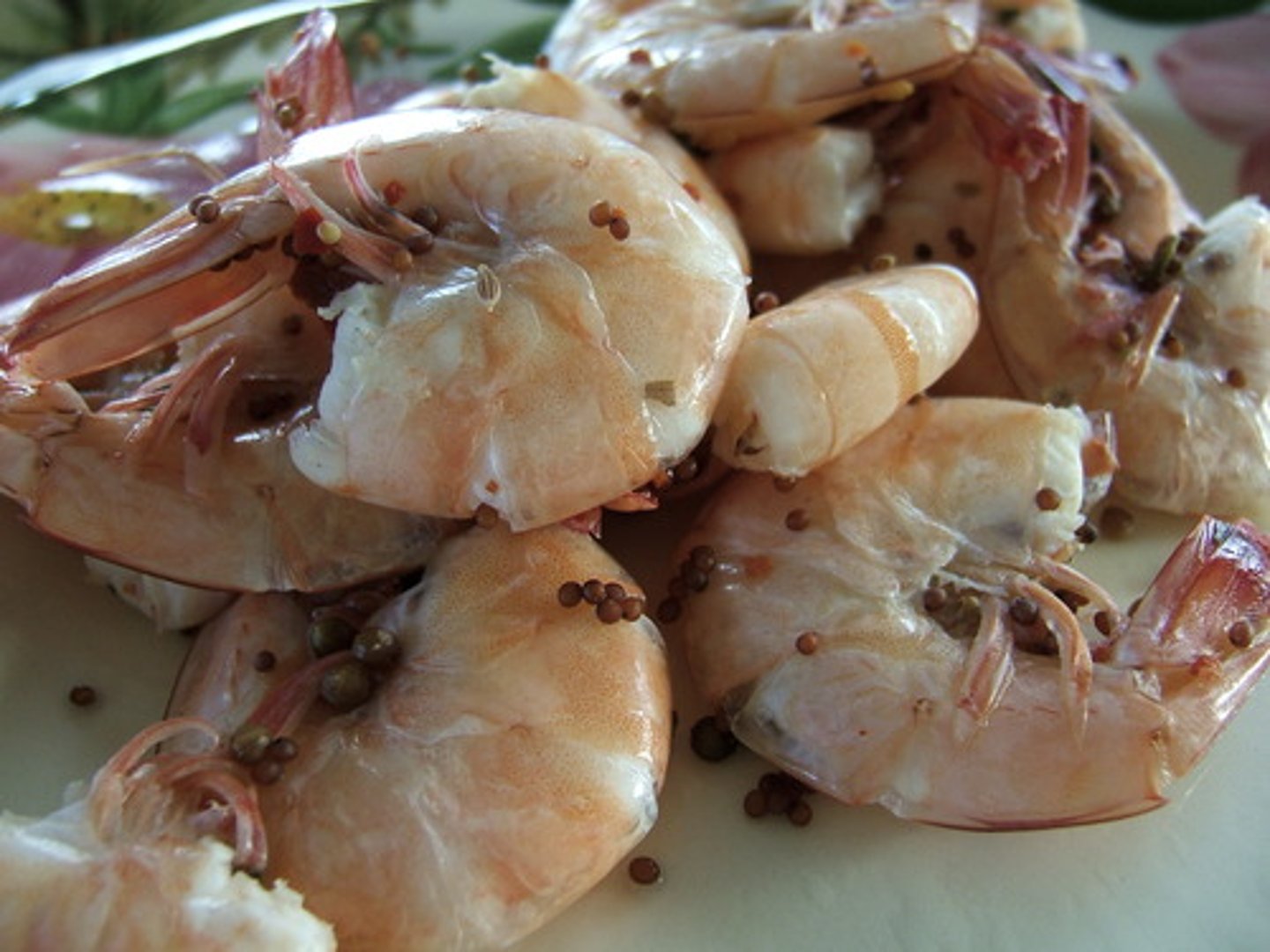 <p>shrimp</p>
