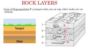 <ol><li><p>A layer that formed before there was life, 2. Fossils of earth’s first life. 3. fossils after the first life on earth. 4. Fossils of life right before humans. 5. Fossils containing the most recent life on earth</p></li></ol><p></p>