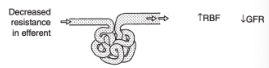 <p>Increased renal blood flow</p><p>Decreased GFR</p>