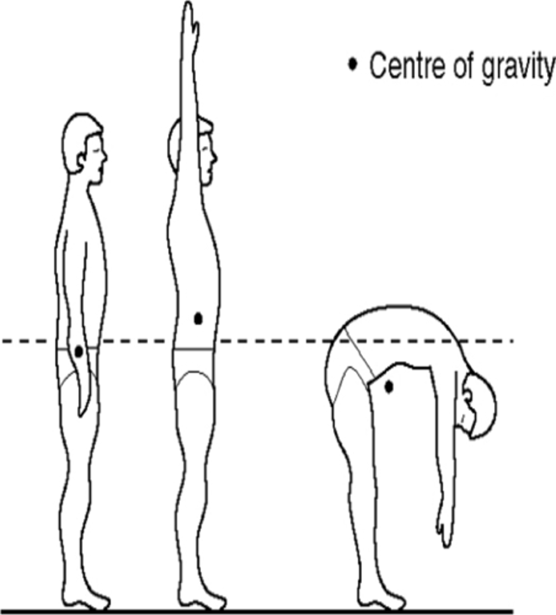 <p>- when segments or mass are altered- the ______ ___ _____ may change</p><p>- The line of gravity is always vertically downward (like a plum line)</p><p>- base of support: wide = less likely to displace the line of gravity; the object is more stable</p>