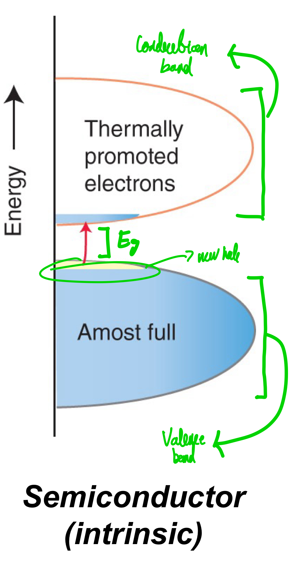 <ul><li><p>The valence band is full, but the band gap is small enough that thermal energy alone can lead to promotion from valence band to the conduction band.</p></li><li><p>Holes of positive charge.</p></li><li><p>Yes, because both electrons and holes are mobile.</p></li><li><p>Conductivity increases with increasing temperature as more electrons can be promoted into the conduction band.</p></li></ul><p></p>