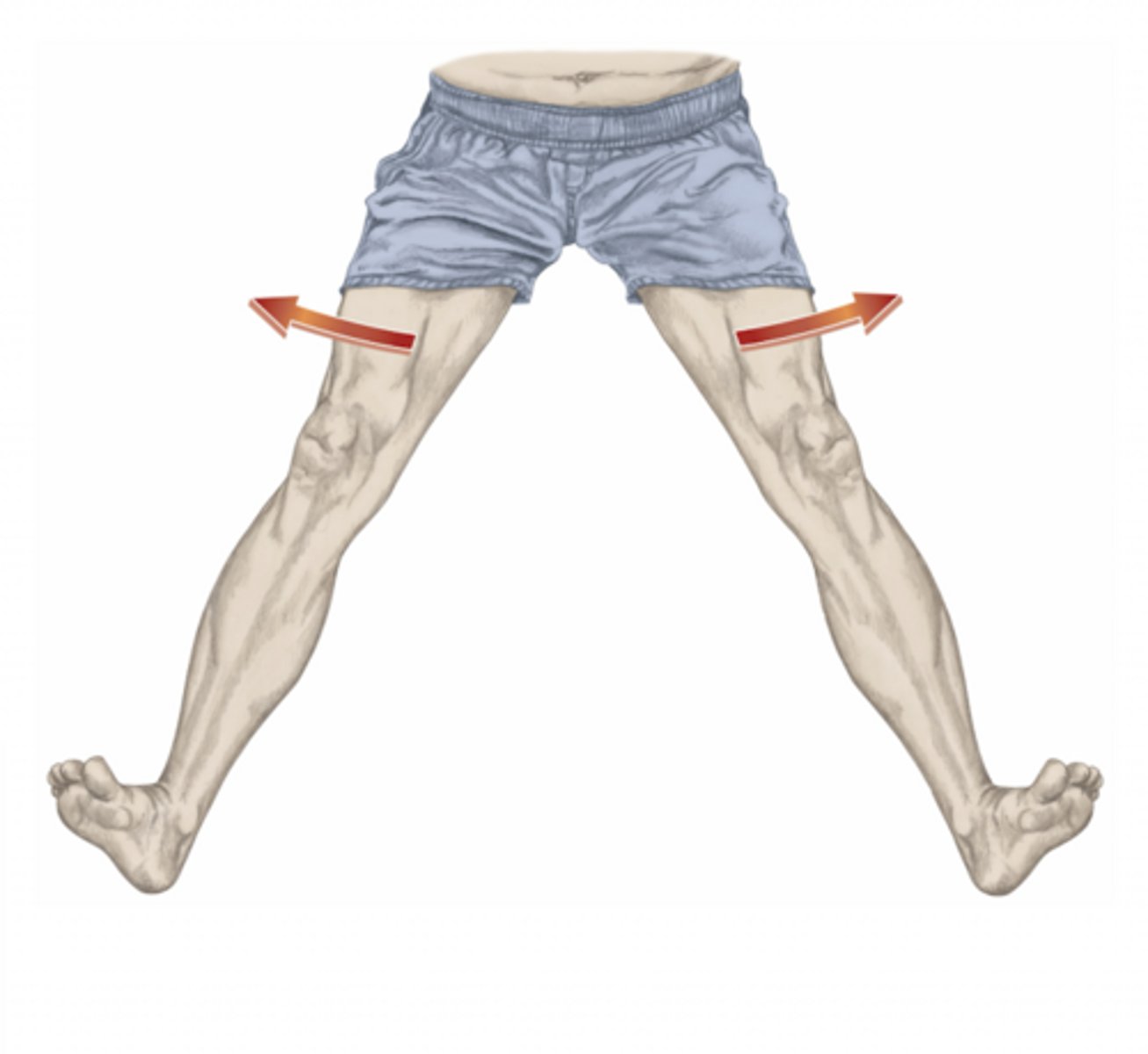 <p>please identify the movement and its location</p>