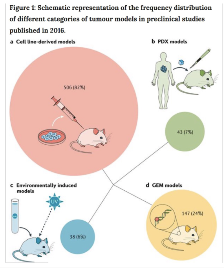 <p>Studying gene function in mice</p>