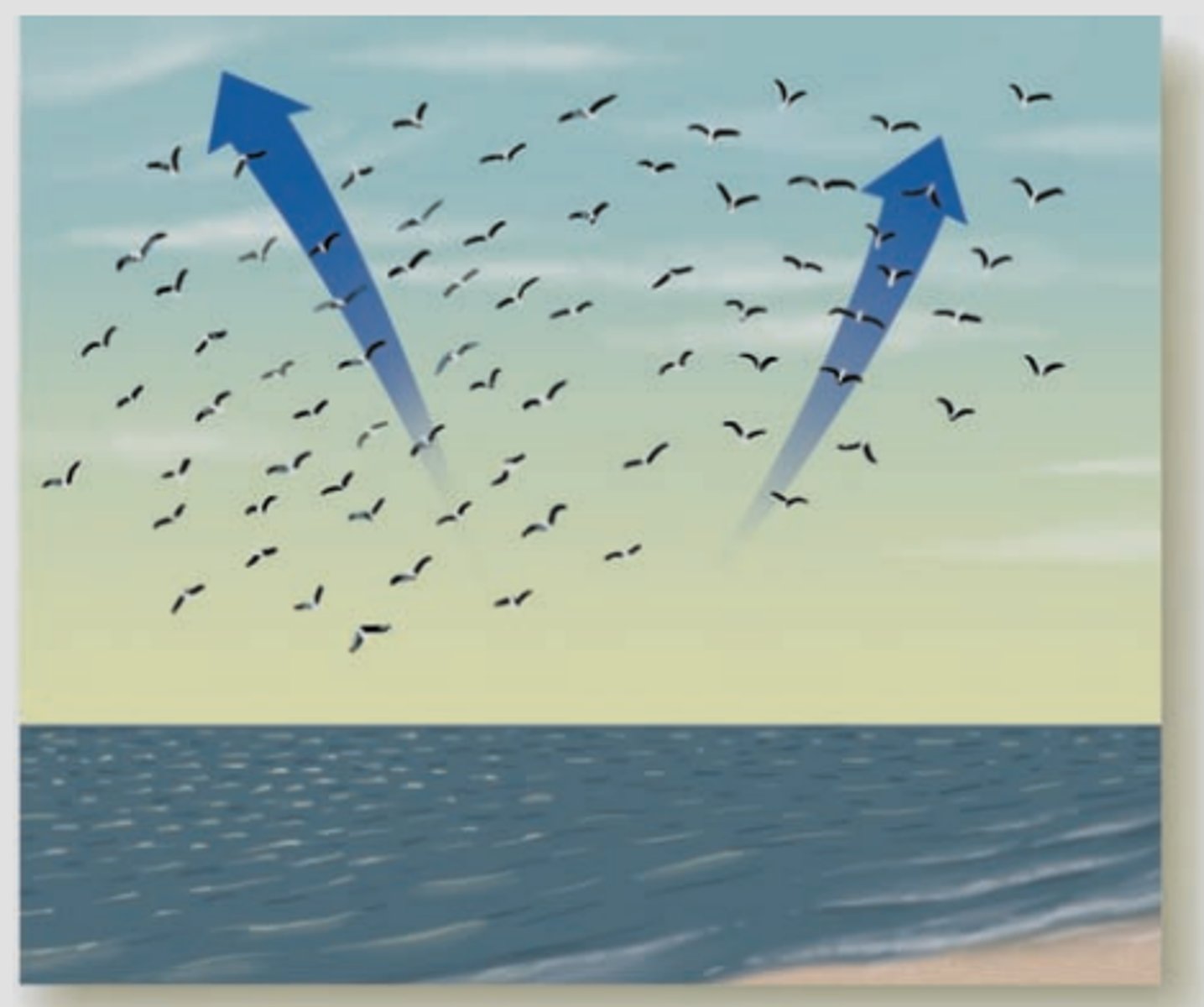 <p>objects that move in a similar direction or pattern are grouped together</p>