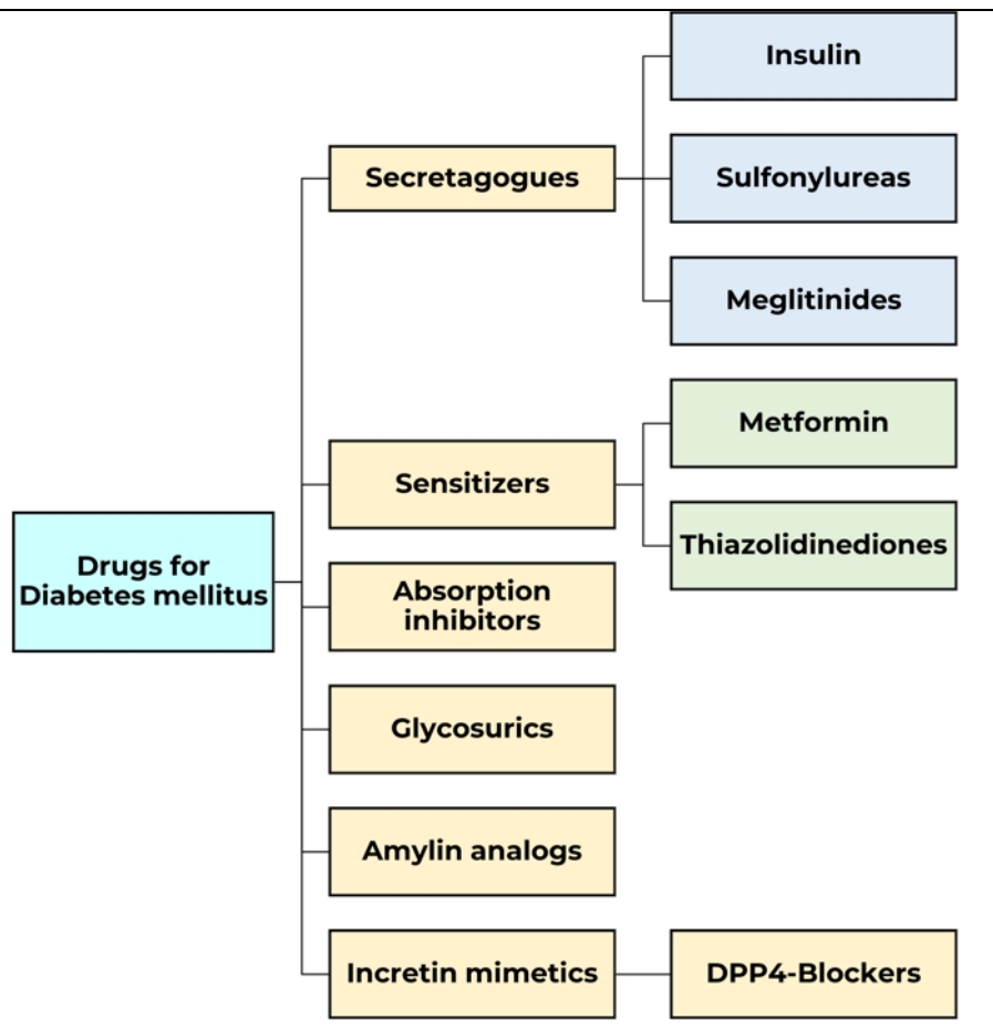 <ul><li><p><strong>Hyperglycemia (High blood sugar)</strong></p><ul><li><p>↓ Insulin (Type 1) or ↓ insulin effectiveness (Type 2) → impaired <strong>glycogenesis</strong> → less glucose stored as glycogen</p></li><li><p>↓ Glucose uptake → impaired <strong>glycolysis</strong> → cells have less energy</p></li><li><p class="has-focus">More glucose in the blood</p></li></ul></li><li><p><strong>Clinical effects</strong></p><ul><li><p><strong>Polyphagia</strong> → increased hunger because cells are energy-deprived</p></li><li><p><strong>Polyuria</strong> → excess glucose filtered by kidneys → osmotic diuresis</p></li><li><p><strong>Polydipsia</strong> → excessive thirst due to fluid loss from polyuria</p></li></ul></li></ul><p></p>