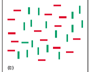 <p>Searching for a conjunction of 2 features in a visual field (looking for horizontal and green in a visual field)</p>