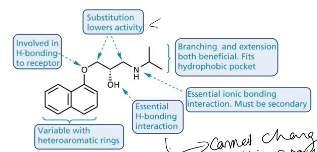 <p>double benzene rings are varible with heteroaromatic rings, the oxygen attached to the right ring is involved in H bonding with the receptor, the carbons in the chain if hydrogens are substited it lowers activity, the OH is essential in H bonding interactions, the NH has to be secondary and is involved in essential ionic bonding interaction, branching and extention are both benificial as fits in the hydrophobic pocket</p>