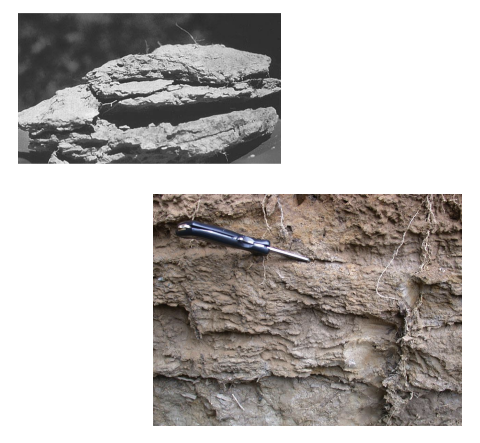 <p><strong>describe platy soil structure and where it commonly occurs.</strong></p>