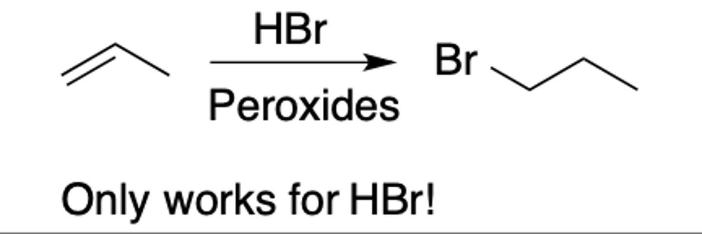 <p>Intermediate: Radical</p><p>Regiochemistry: anti-mark</p><p>Stereoselectivity: none</p><p>Reagent(s): HBr over peroxides = tBuOOtBu</p><p>- Radical goes to more substituted carbon of double bond, Br joins other carbon</p>