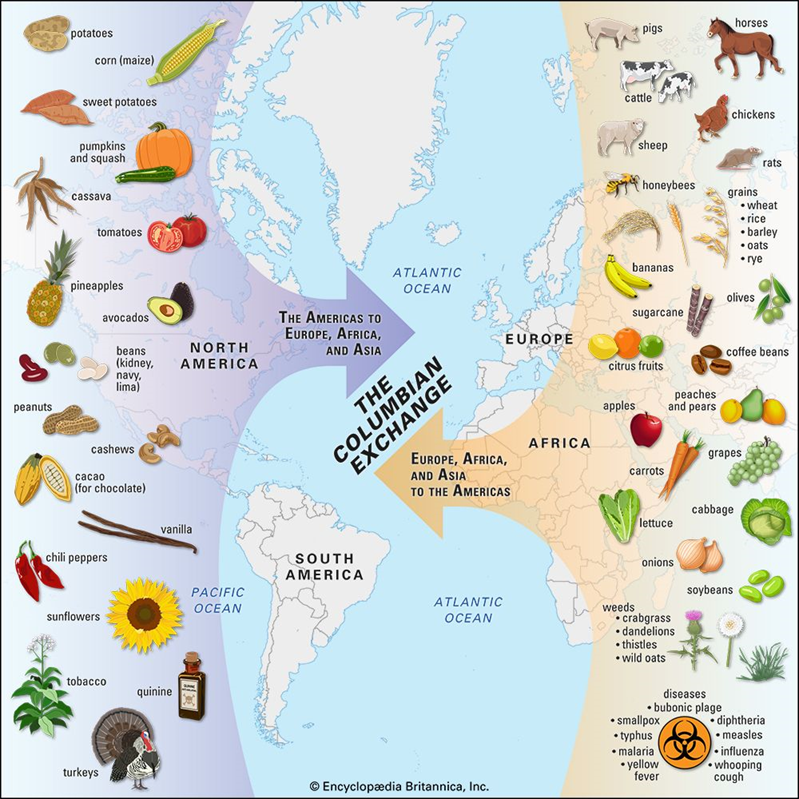 <p>Columbus, while searching for a route by water to access Japan and China, encountered what historians would refer to as this term, based on the “untouched” land</p><ul><li><p>Then began the exchange of people, plants, animals, and commercial goods between Europe &amp; the Americas</p></li></ul><p></p>