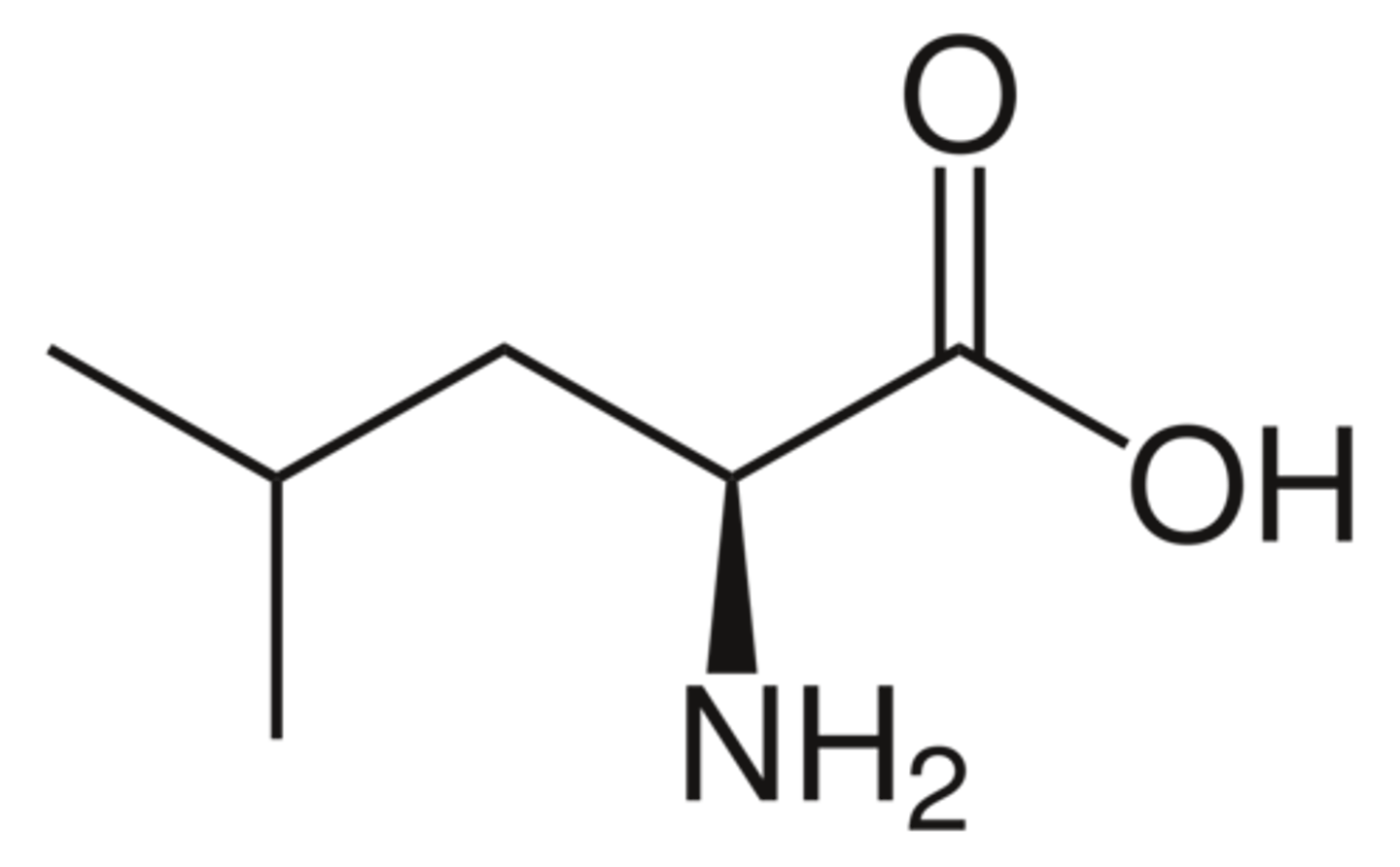 <p>Leucine</p>