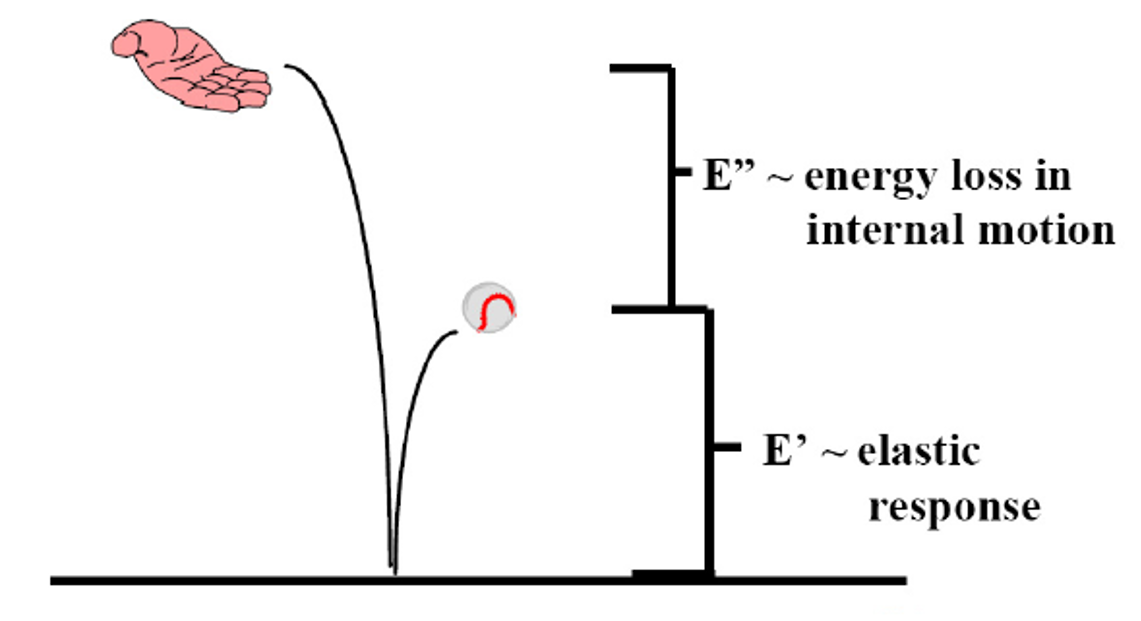<p>this diagram represents what?</p>
